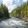 Sparkling river lined with pines and trees under a cloudy sky in the village of Gäddede, Sweden