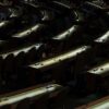 Salón de la Asamblea General de Naciones Unidas después de una reunión, sin delegados presentes, con la única iluminación procedente de los escritorios dispuestos en forma circular. ONU