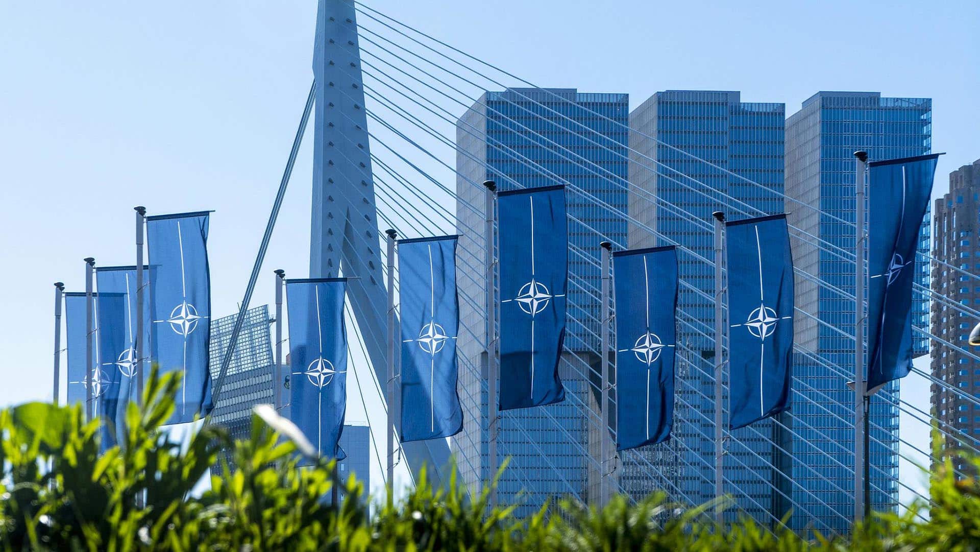 Varias banderas azules verticales de la OTAN ondean frente a un puente moderno con cables tensores y edificios altos de vidrio en un entorno urbano en Rotterdam (Países Bajos) con motivo del día de la Alianza en abril de 2023.