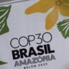 Estandarte con el logo oficial de la COP30 en los alrededores del recinto en Belém, Brasil.