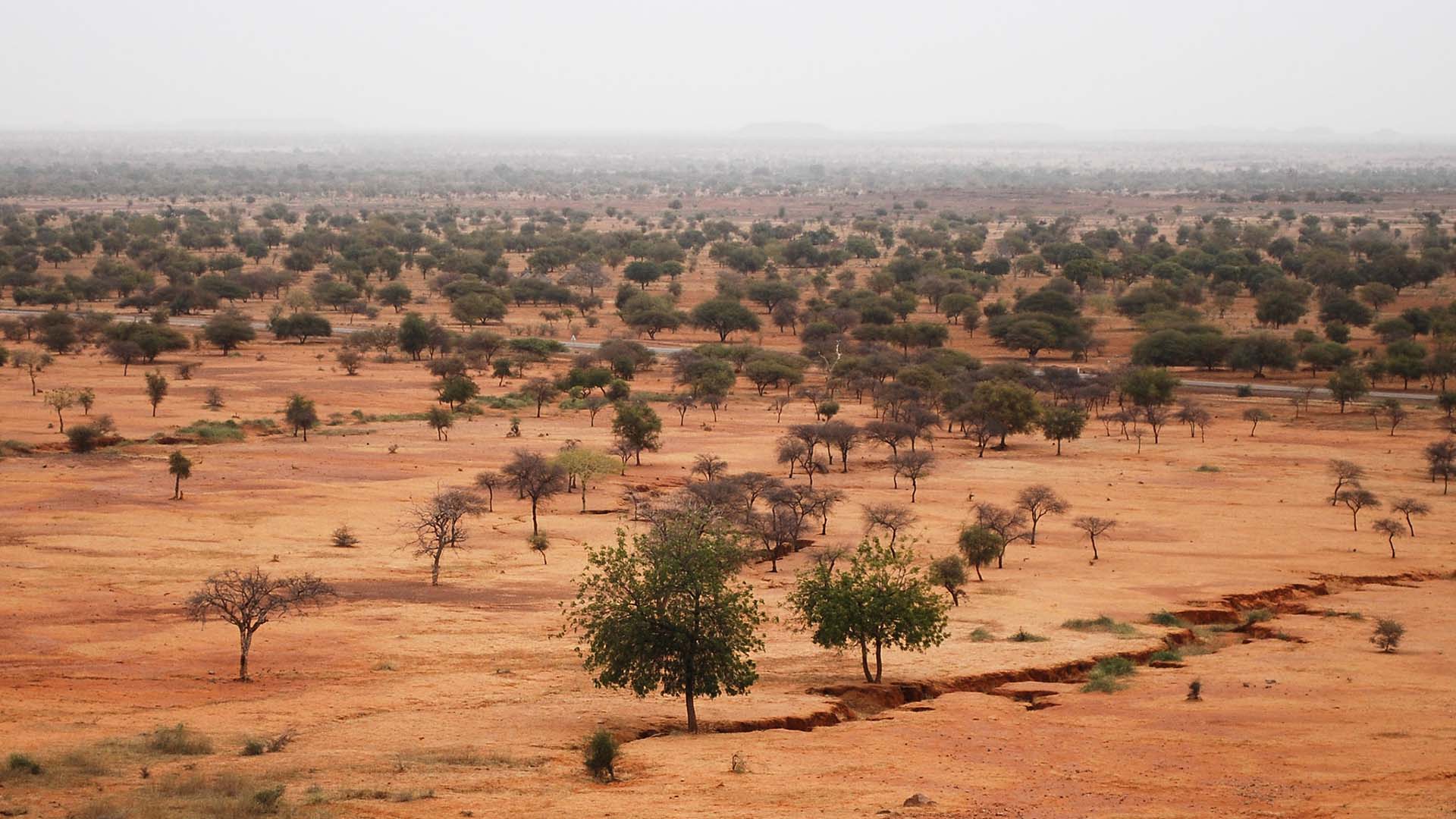 Paisaje semiárido del Sahel con suelo rojizo y dispersos árboles bajos, con una grieta alargada en primer plano y una línea de horizonte difuminada por la neblina.
