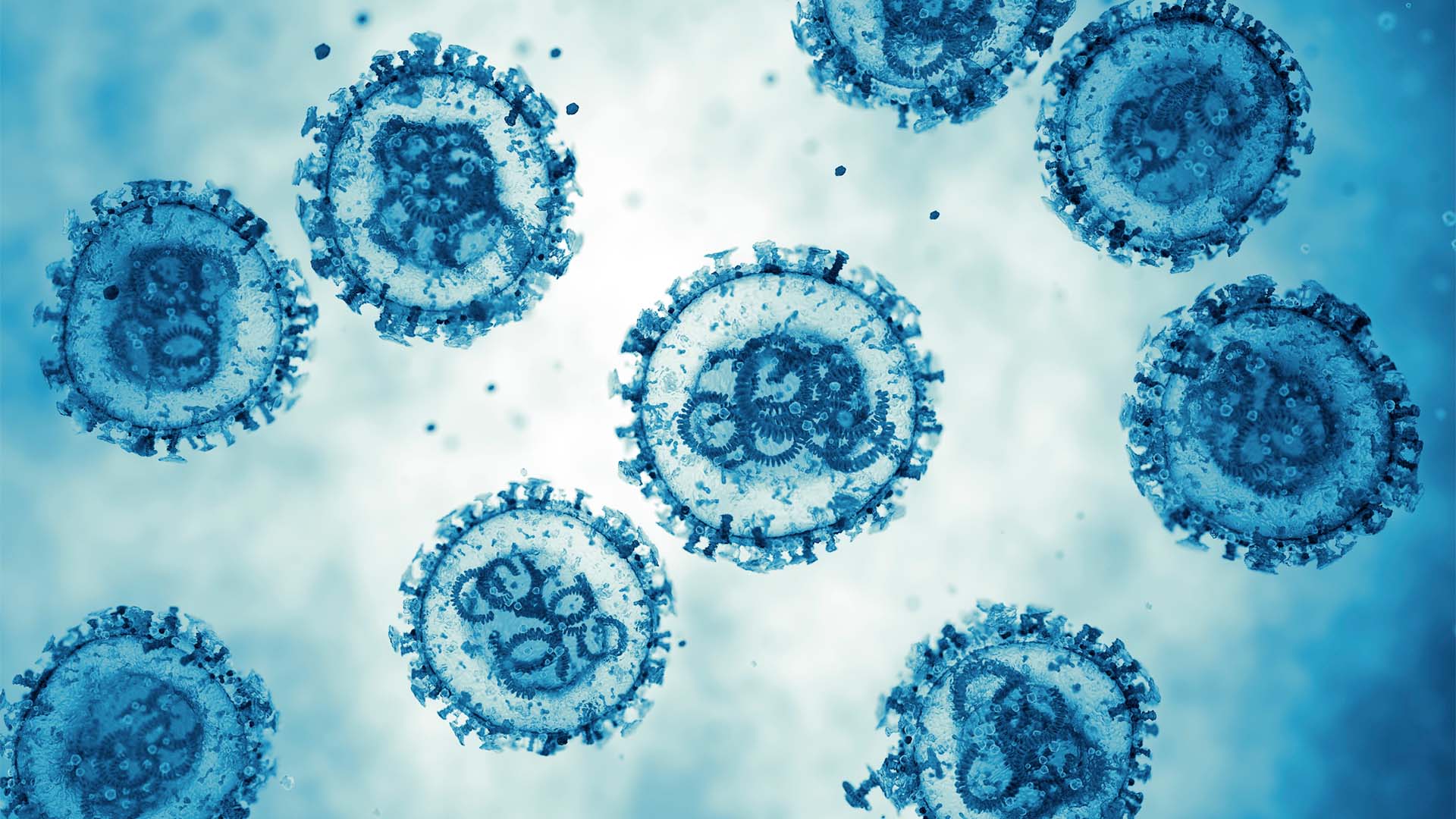 Imagen en tonos azules que muestra varias partículas del hantavirus vistas al microscopio electrónico. Los virus aparecen como estructuras esféricas semitransparentes flotando sobre un fondo claro, con detalles internos visibles y una superficie rodeada de pequeñas protuberancias características.